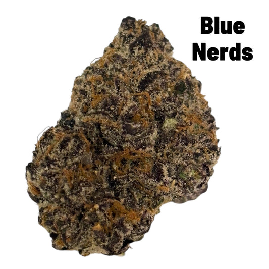 BLUE NERDS