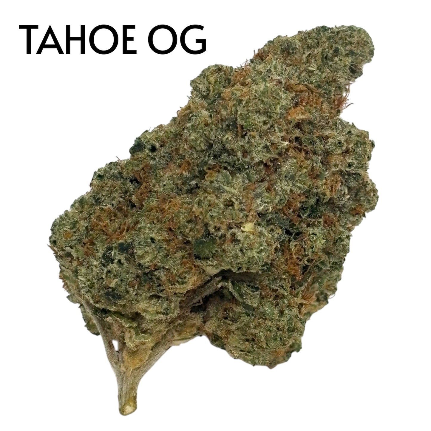 TAHOE OG