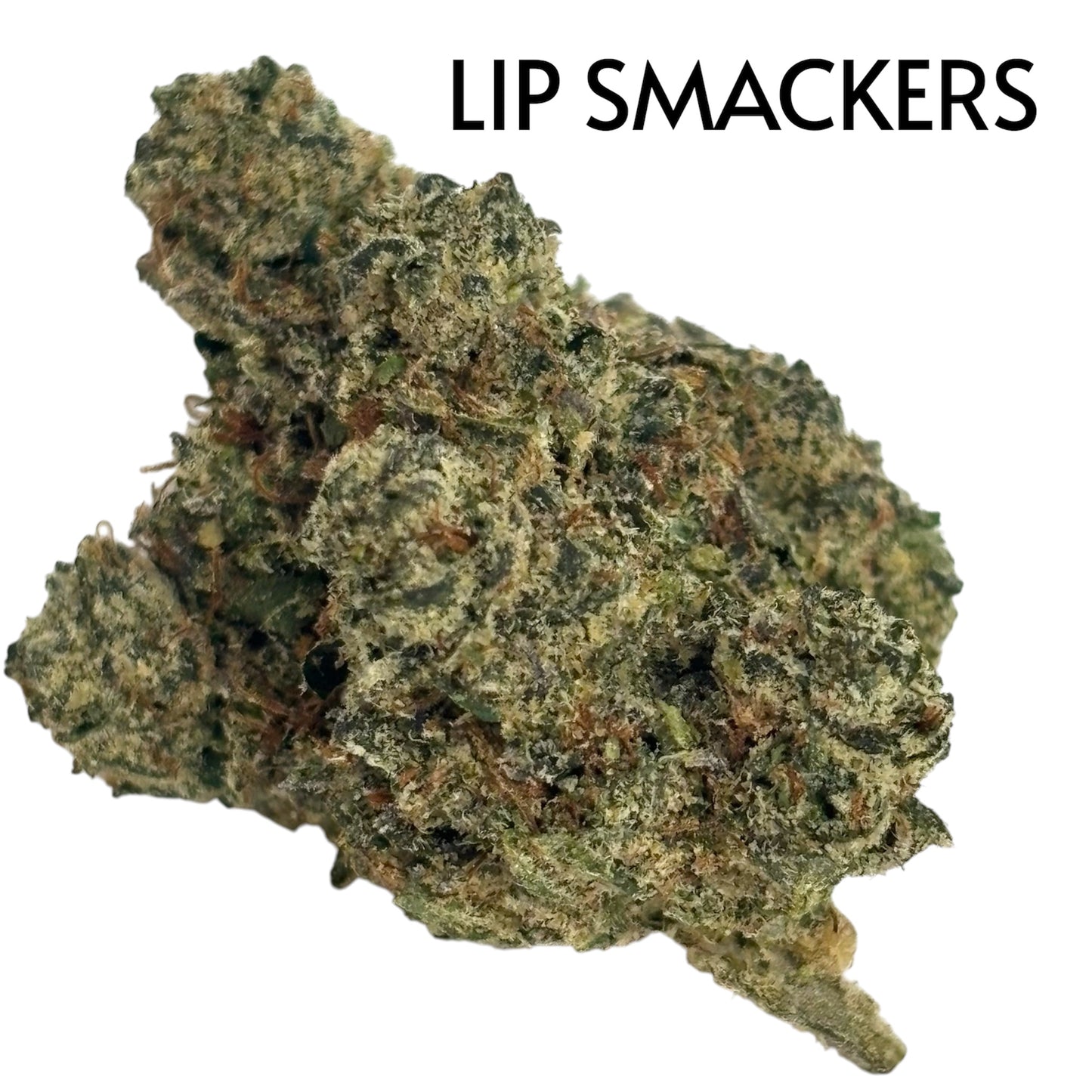 LIP SMACKER